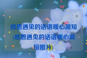 感恩遇见的话语暖心简短(感恩遇见的话语暖心简短图片)