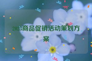 2023商品促销活动策划方案