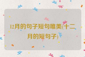 12月的句子短句唯美(十二月的短句子)