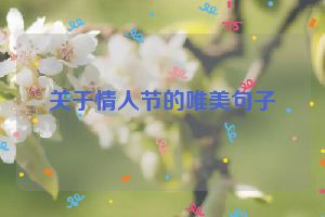 关于情人节的唯美句子