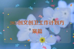 2023创文创卫工作计划方案篇