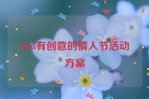 2023有创意的情人节活动方案