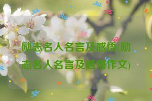励志名人名言及感悟(励志名人名言及感悟作文)