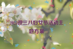 2023迎三八妇女节活动主题方案