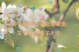 关于爱的句子简短唯美(关于爱的句子大全)