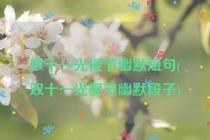 双十一光棍节幽默短句(双十一光棍节幽默段子)