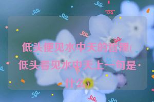 低头便见水中天的哲理(低头看见水中天上一句是什么)
