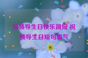 祝领导生日快乐简短 祝领导生日短句霸气