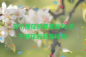 关于樱花的唯美短句(关于樱花的浪漫短句)