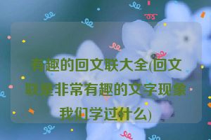 有趣的回文联大全(回文联是非常有趣的文字现象我们学过什么)