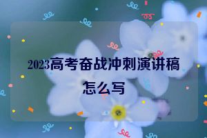2023高考奋战冲刺演讲稿怎么写