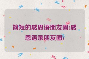 简短的感恩语朋友圈(感恩语录朋友圈)