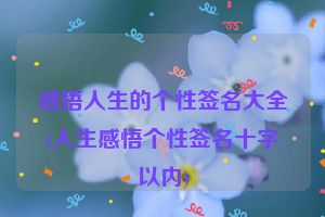 感悟人生的个性签名大全(人生感悟个性签名十字以内)