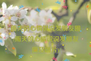 雨天的心情说说发朋友圈(雨天的心情说说发朋友圈及图片)