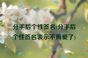 分手后个性签名(分手后个性签名表示不再爱了)