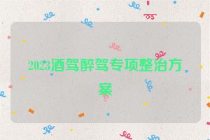 2023酒驾醉驾专项整治方案