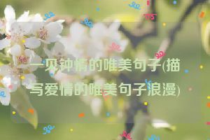 一见钟情的唯美句子(描写爱情的唯美句子浪漫)