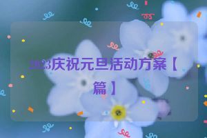 2023庆祝元旦活动方案【篇】