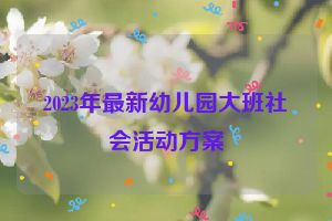 2023年最新幼儿园大班社会活动方案