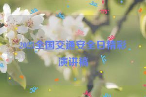 2023全国交通安全日精彩演讲稿