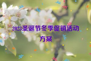 2023圣诞节冬季促销活动方案