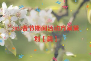 2023春节期间活动方案策划【篇】