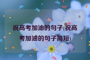 祝高考加油的句子(祝高考加油的句子简短)