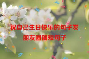 祝自己生日快乐的句子发朋友圈简短句子