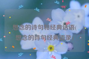 想念的诗句和经典话语(想念的诗句经典语录)
