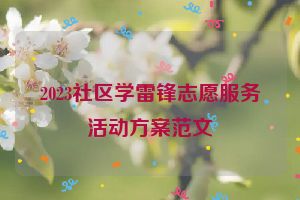 2023社区学雷锋志愿服务活动方案范文