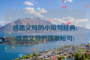 感恩父母的小短句经典(感恩父母的语录短句)