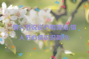 情人节说说心情简短(情人节心情说说简约)