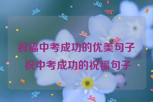 祝福中考成功的优美句子 祝中考成功的祝福句子