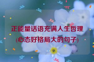 正能量话语充满人生哲理(心态好格局大的句子)