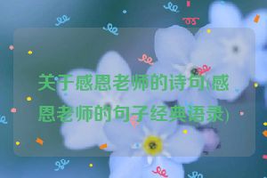 关于感恩老师的诗句(感恩老师的句子经典语录)