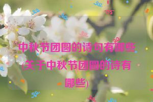中秋节团圆的诗句有哪些(关于中秋节团圆的诗有哪些)