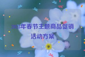 2023年春节主题商品促销活动方案