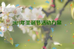 2023年圣诞节活动方案