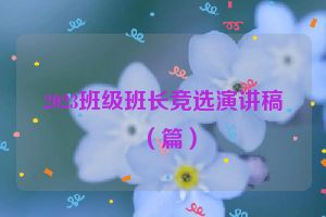 2023班级班长竞选演讲稿（篇）