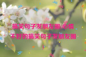 搞笑句子发朋友圈(心情不好的搞笑句子发朋友圈)