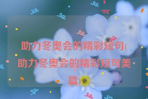 助力冬奥会的精彩短句(助力冬奥会的精彩短句美篇)