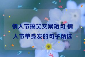 情人节搞笑文案短句 情人节单身发的句子精选