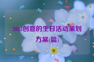 2023创意的生日活动策划方案(篇)