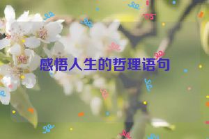 感悟人生的哲理语句
