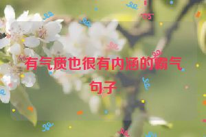 有气质也很有内涵的霸气句子