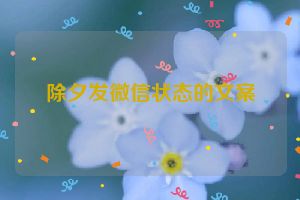 除夕发微信状态的文案