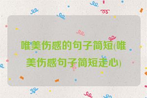 唯美伤感的句子简短(唯美伤感句子简短走心)