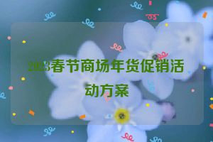 2023春节商场年货促销活动方案