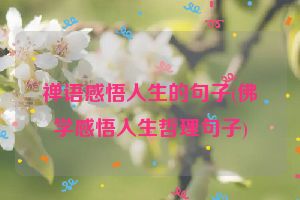 禅语感悟人生的句子(佛学感悟人生哲理句子)