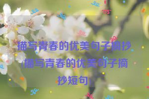 描写青春的优美句子摘抄(描写青春的优美句子摘抄短句)